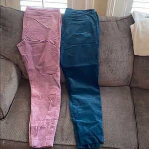 Velvet like pixie pants